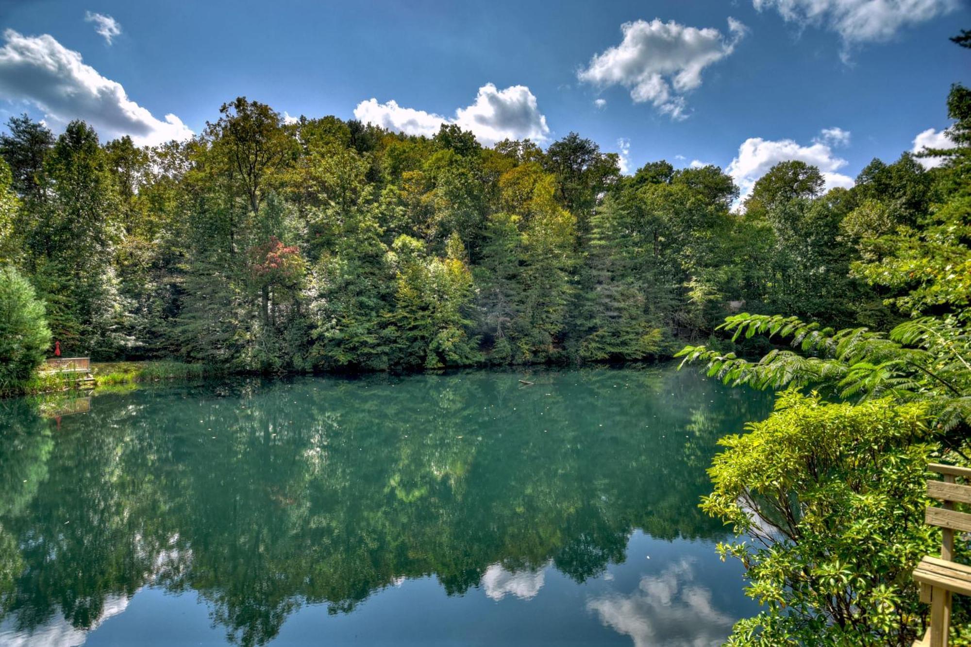 Waywish Waterfront Cabin In Blue Ridge Mountains Kültér fotó